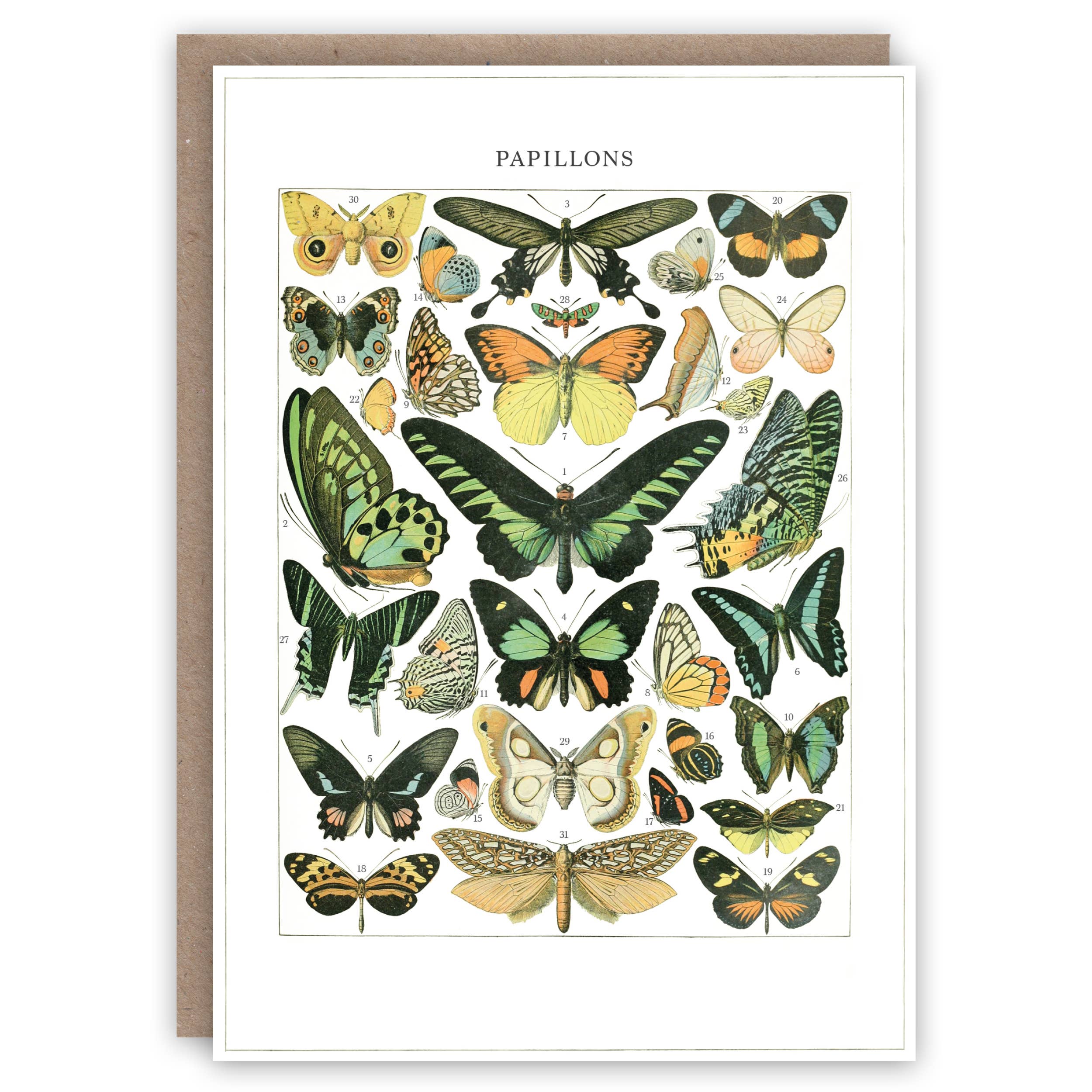 Carte de vœux Papillons