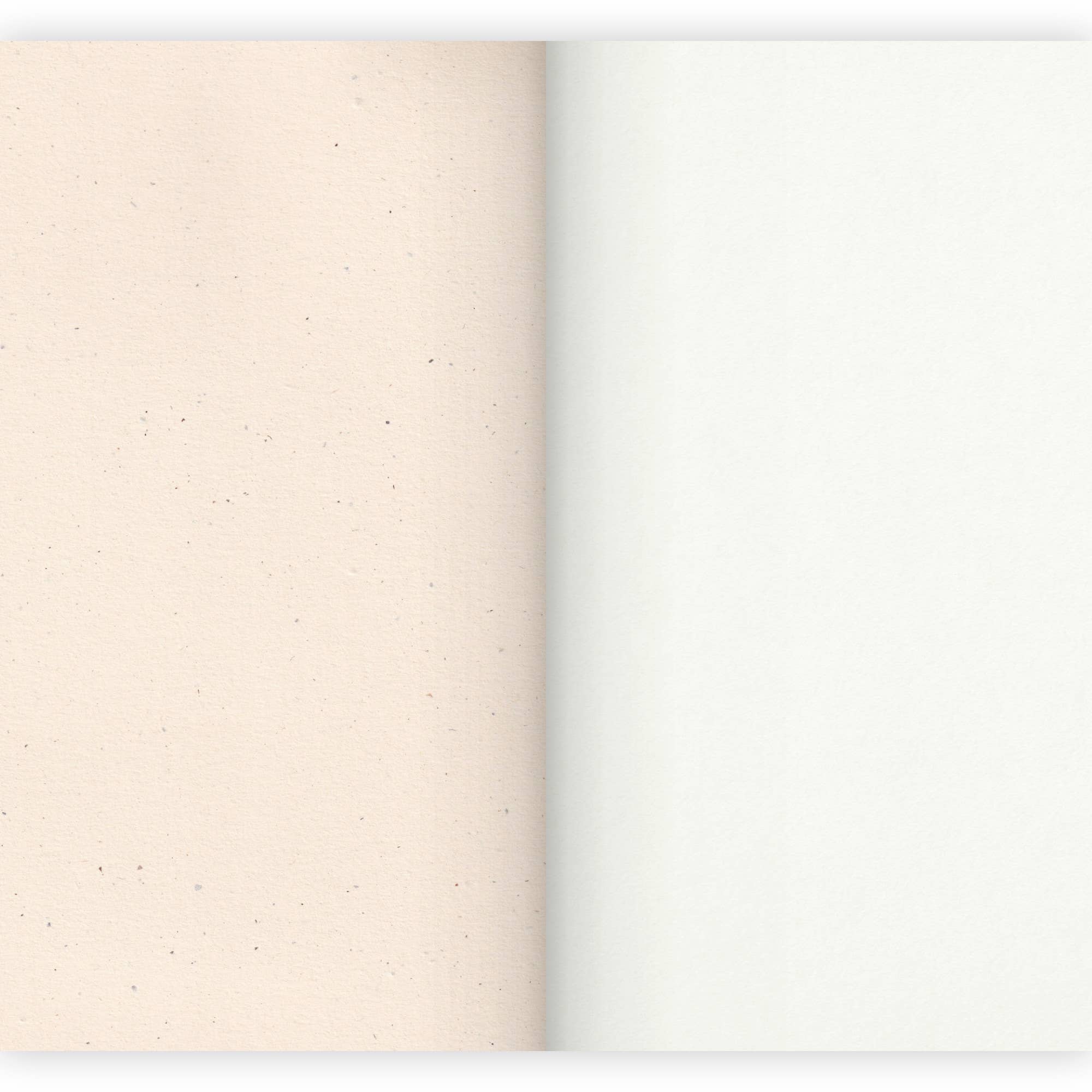 Carnet A4 | Ornements 1