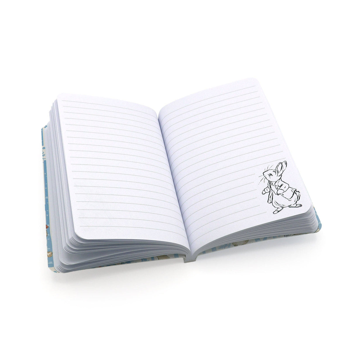 Carnet Peter Rabbit — Motif de pique-nique en forêt A6