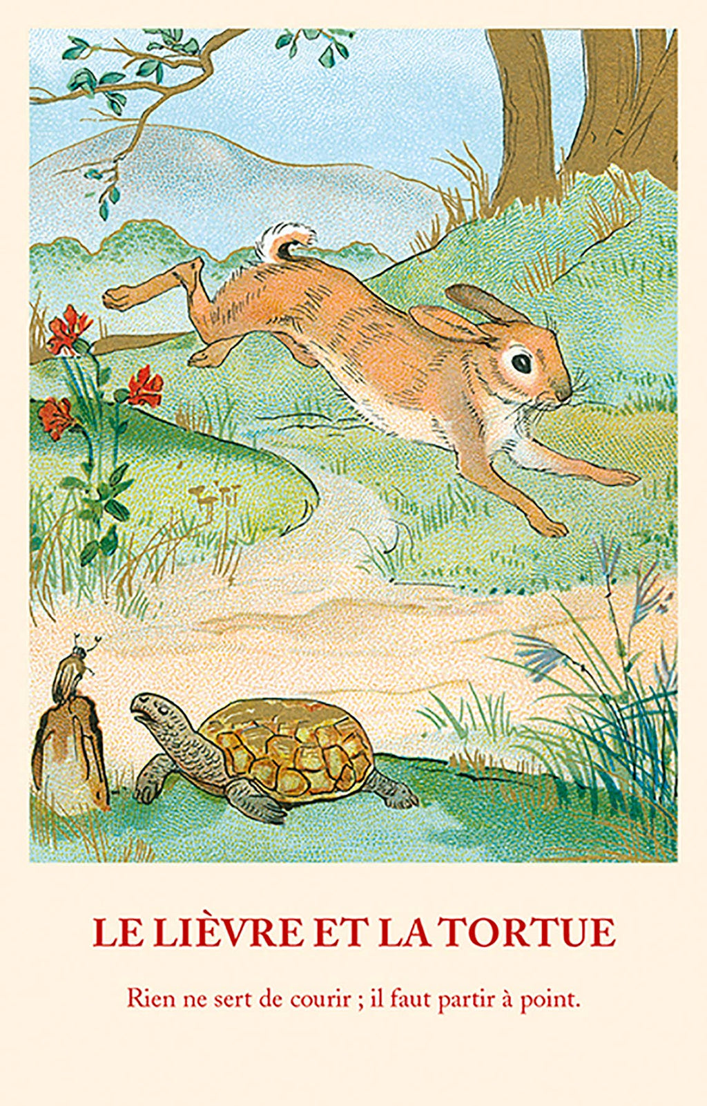 Carte Fable: Le Lièvre et la Tortue