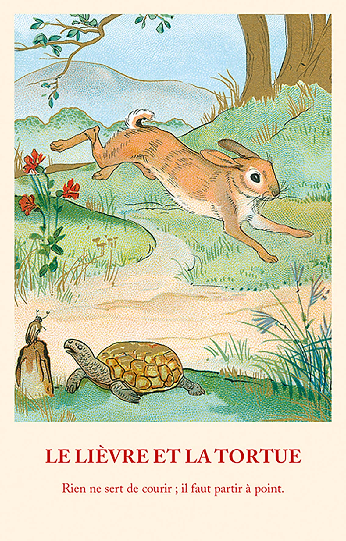 Carte Fable: Le Lièvre et la Tortue
