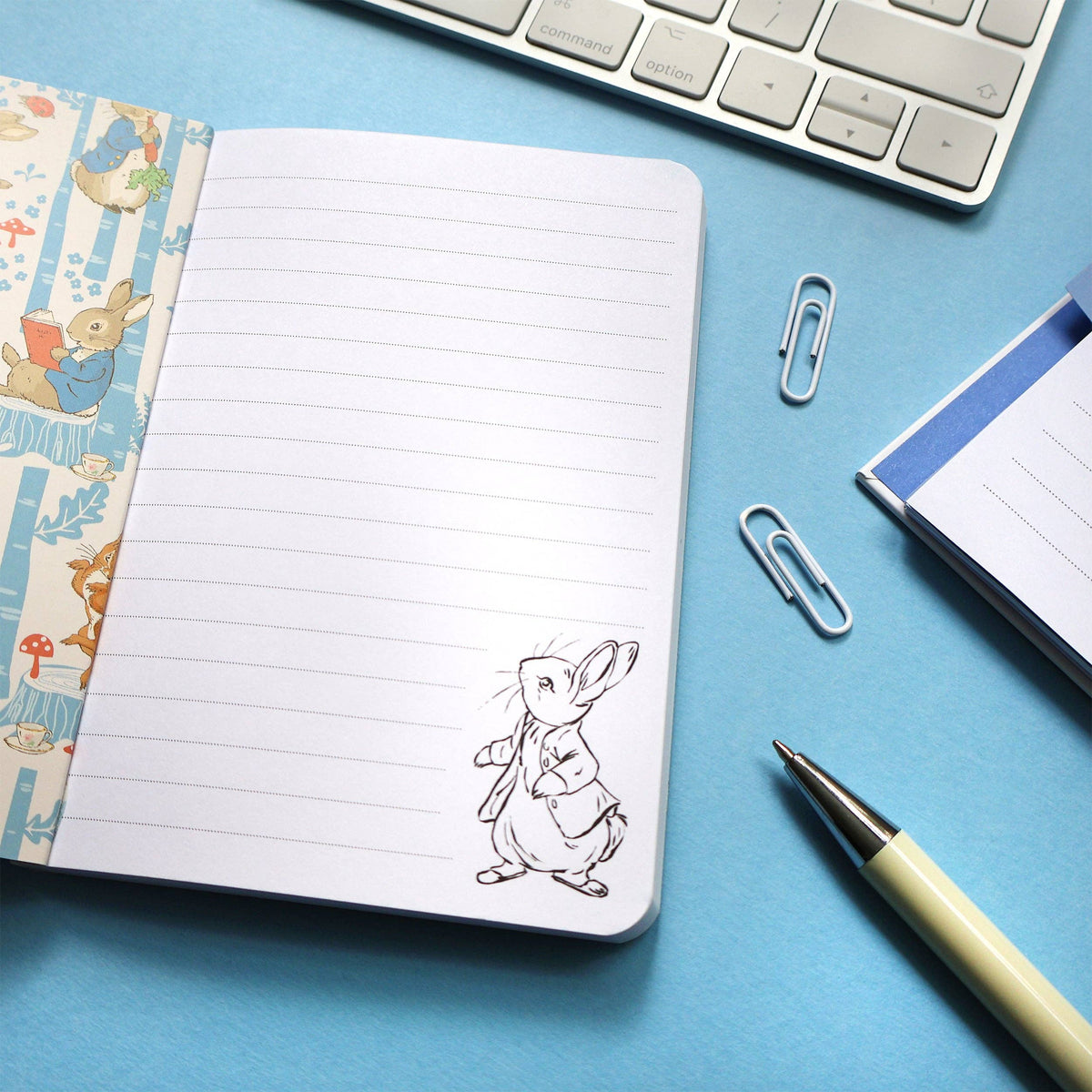 Carnet Peter Rabbit — Motif de pique-nique en forêt A6