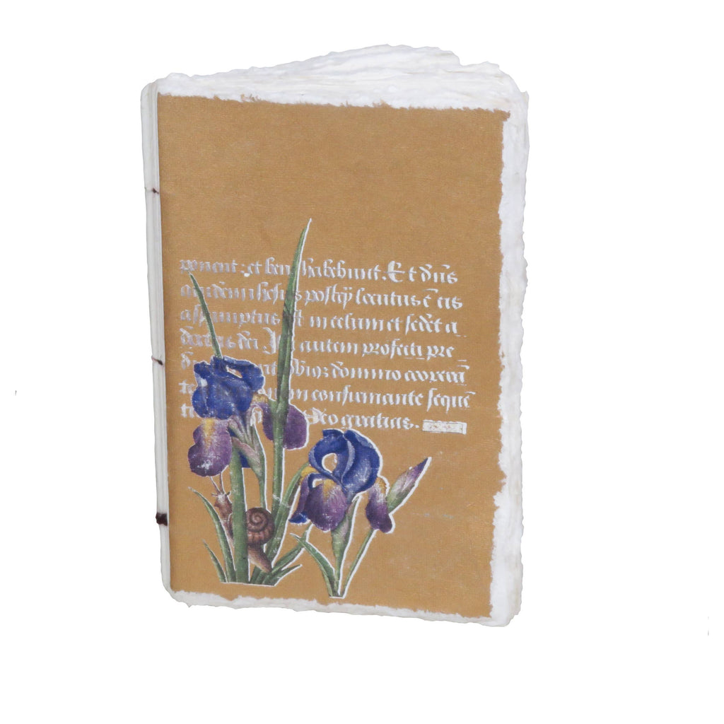 Carnet papier parchemin  :  enluminure dorée