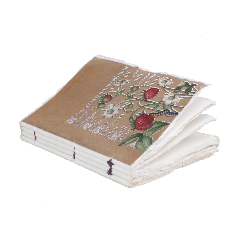 Carnet papier parchemin  :  enluminure dorée