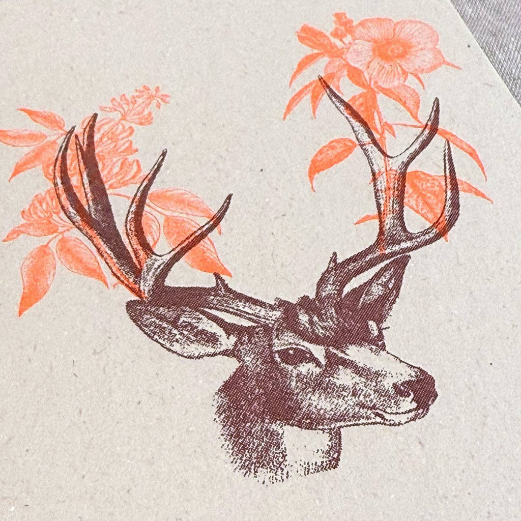 Carte postale / Bois de cerf / Bourgogne et orange