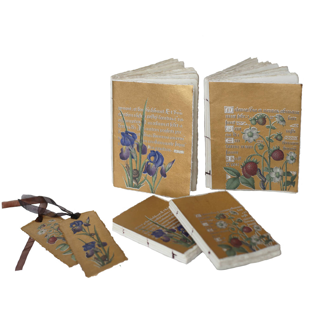 Carnet papier parchemin  :  enluminure dorée