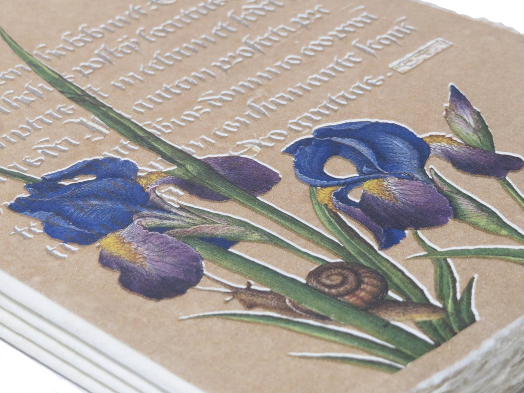 Carnet papier parchemin  :  enluminure dorée