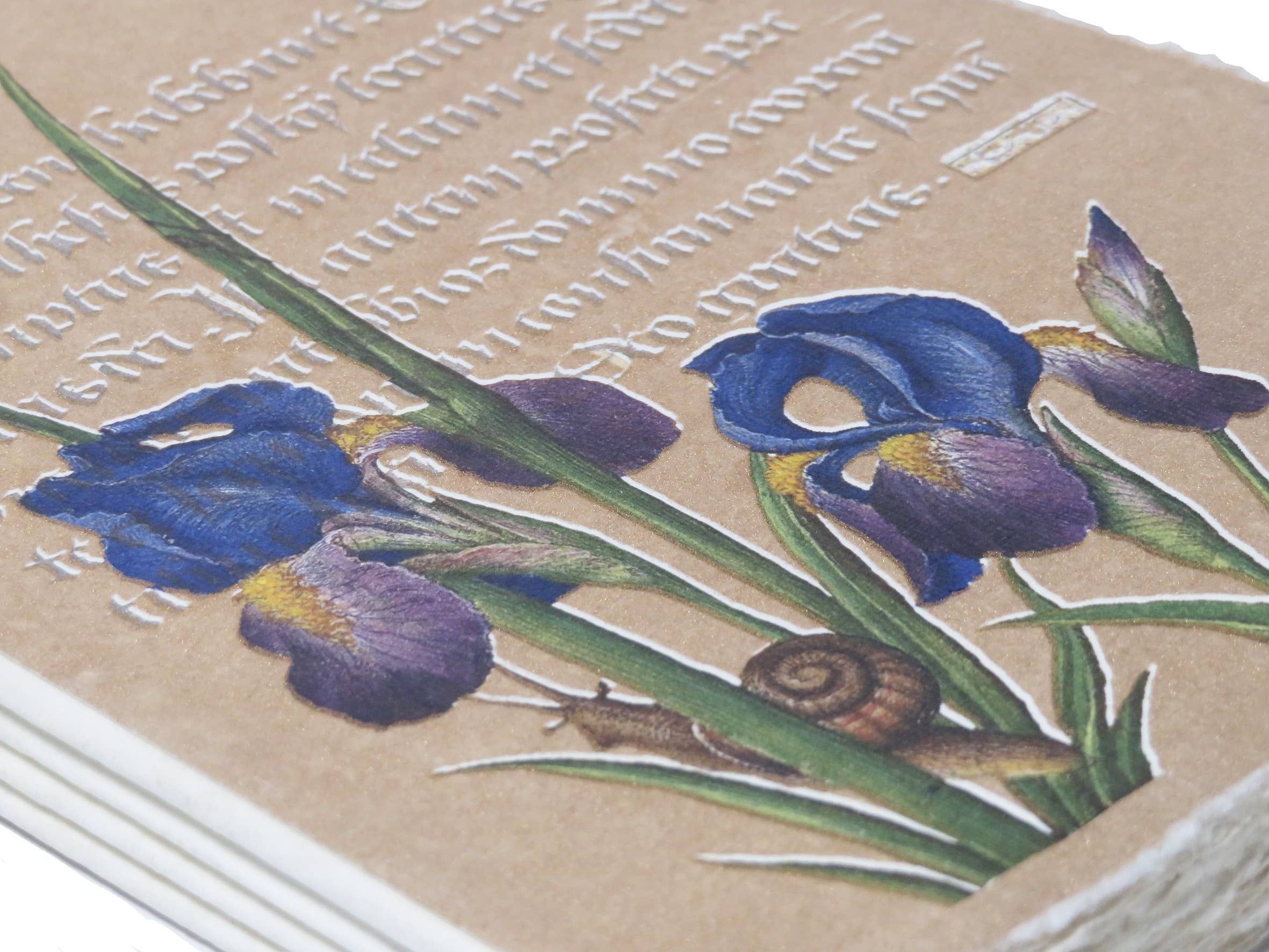 Carnet papier parchemin  :  enluminure dorée