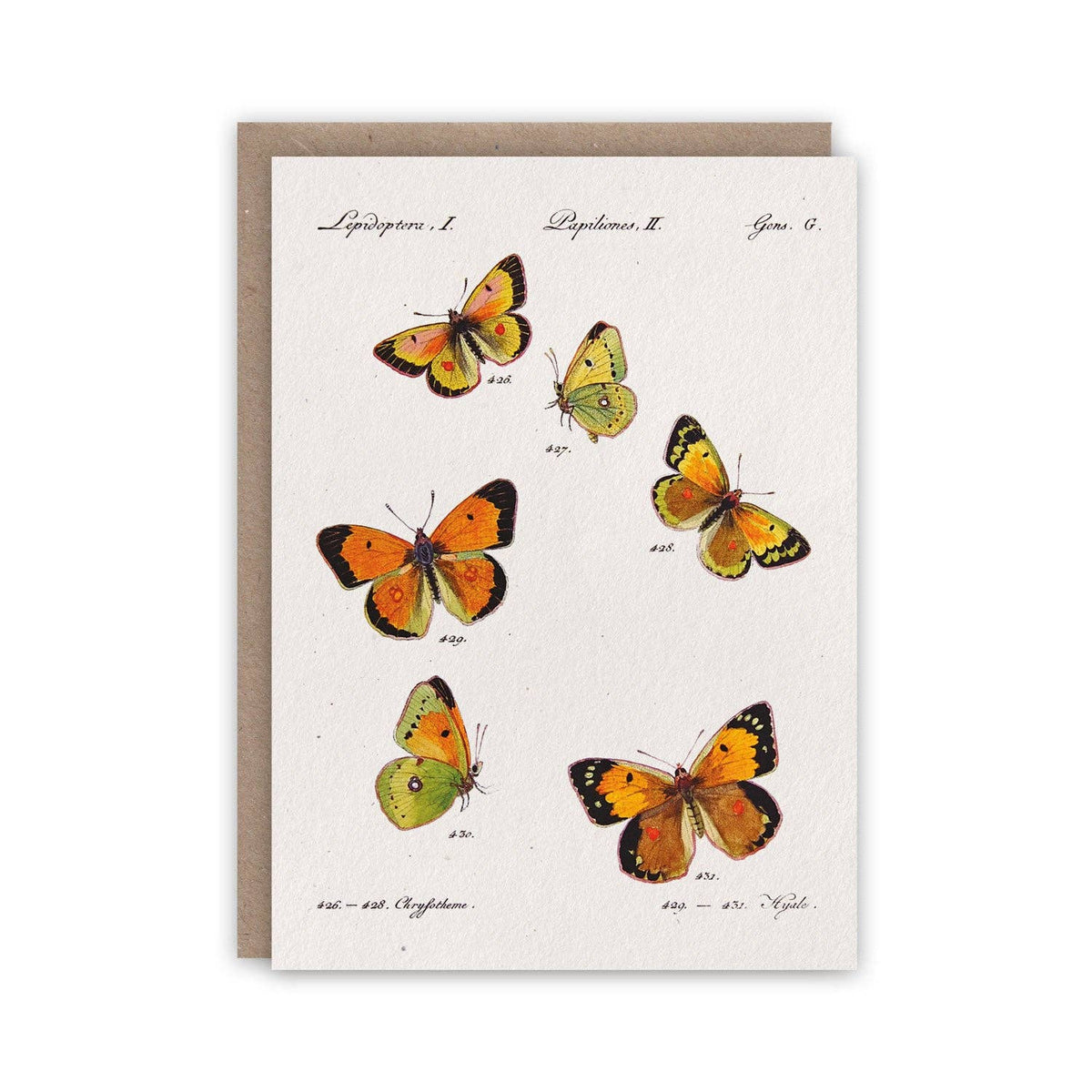 Cartes de correspondance Papillons Hübner