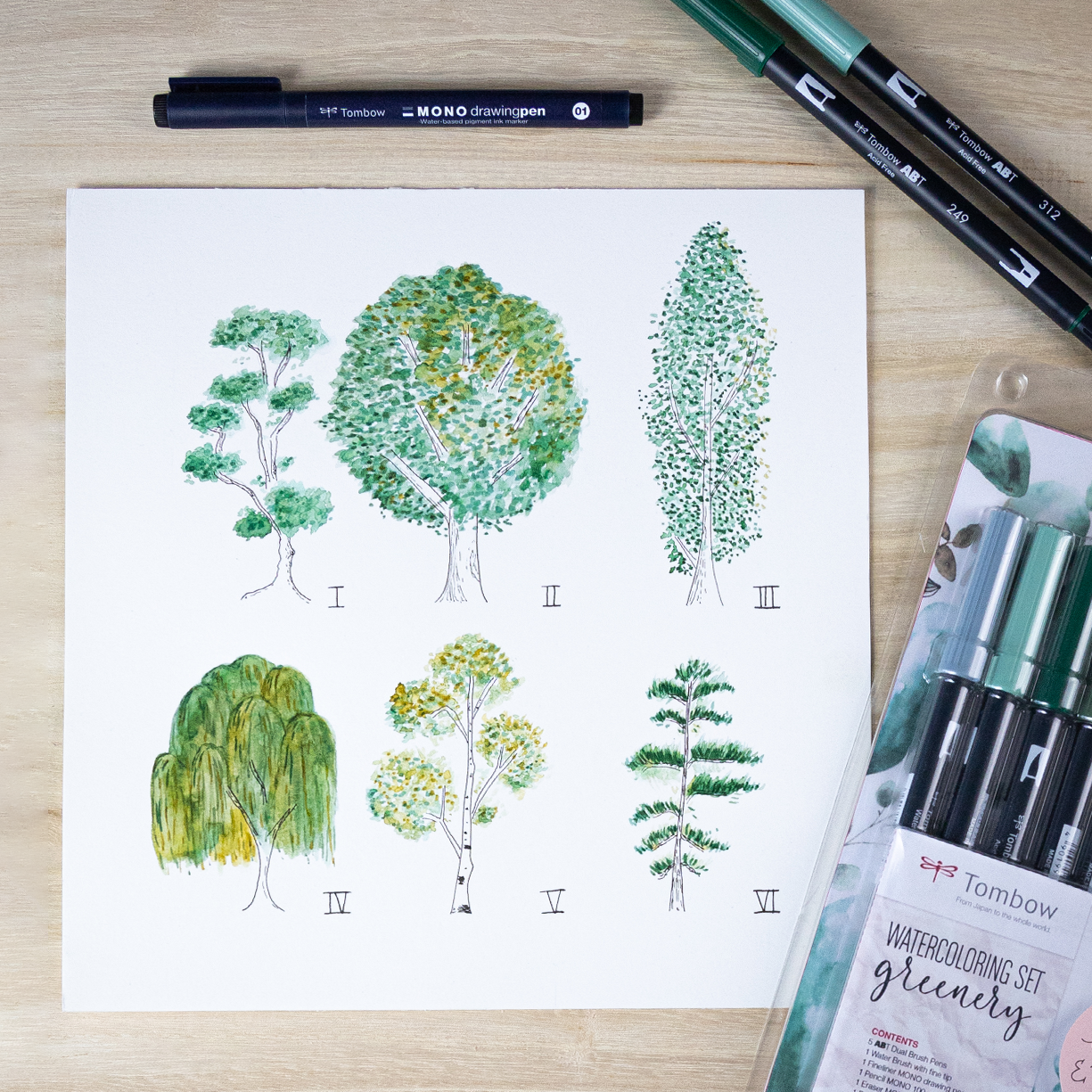 Ensemble d'aquarelle Verdure