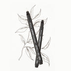 Ensemble de stylos à dessin MONO Fineliner Tombow Bold