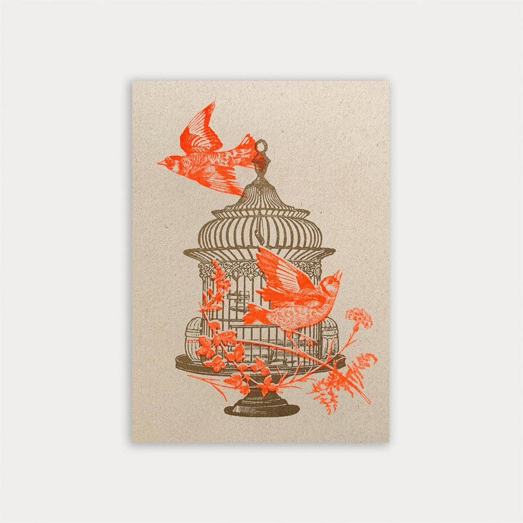 Carte postale  Cage à oiseaux