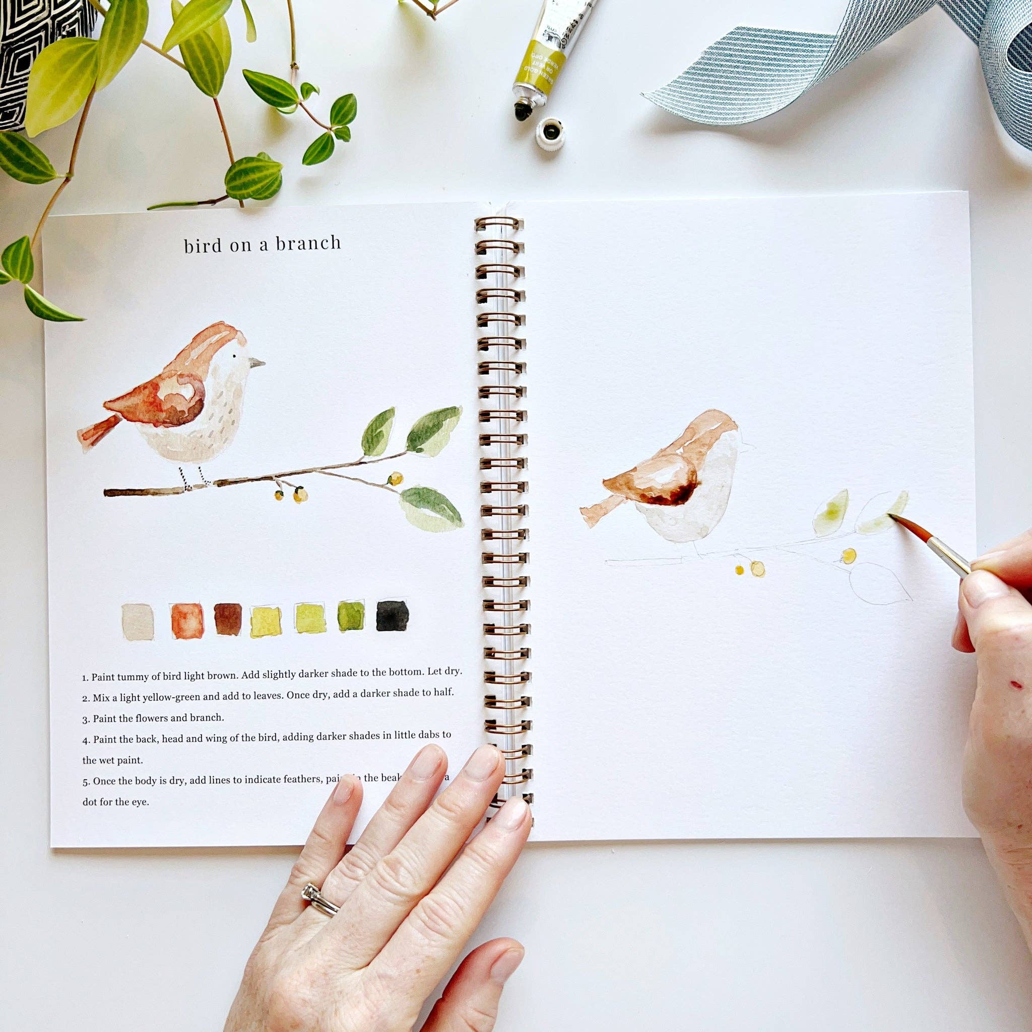 Cahier d'aquarelle sur les animaux