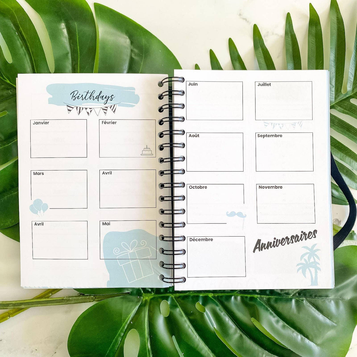 AGENDA JOURNALIER – TROPICAL