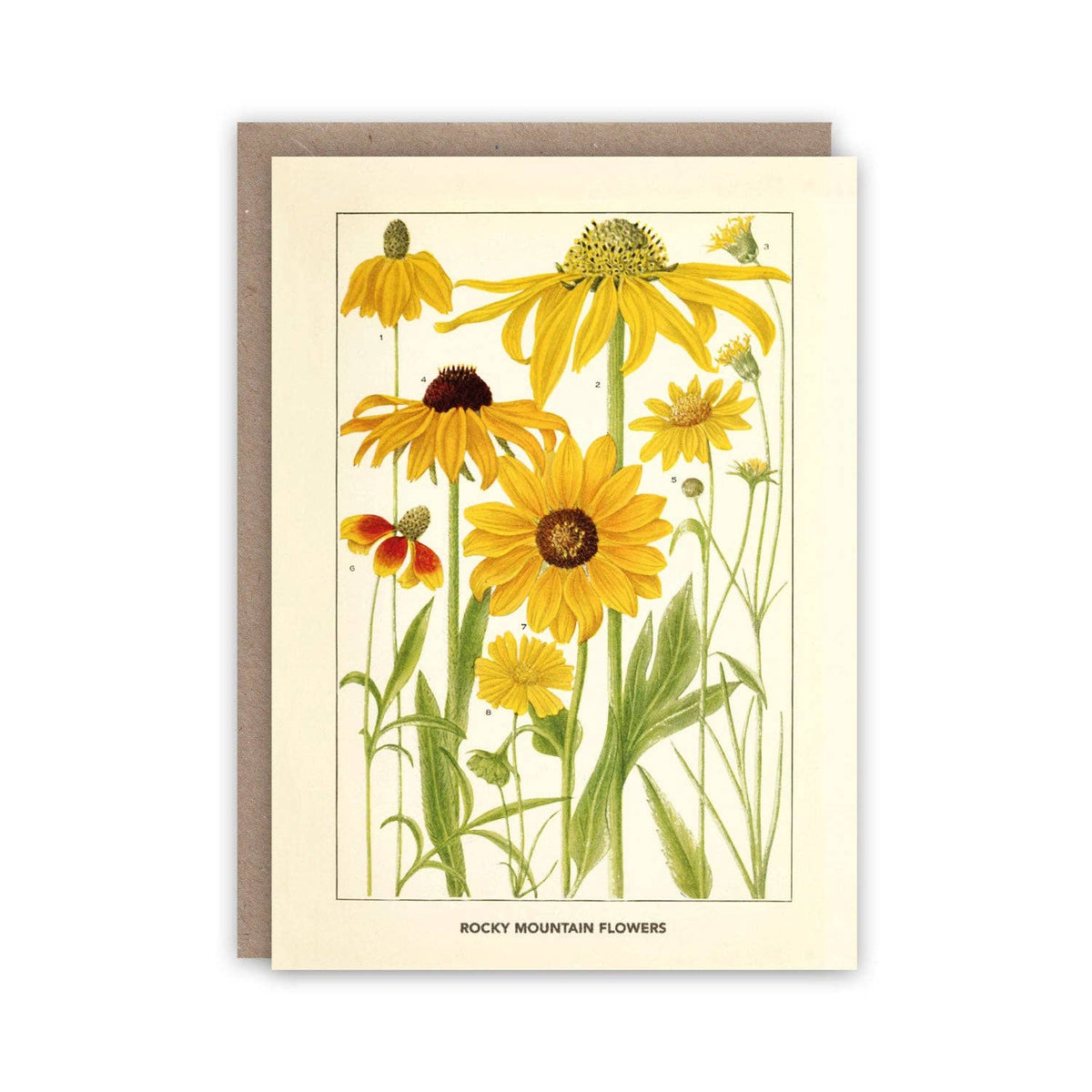 Carte de correspondance Fleurs des Montagnes Rocheuses