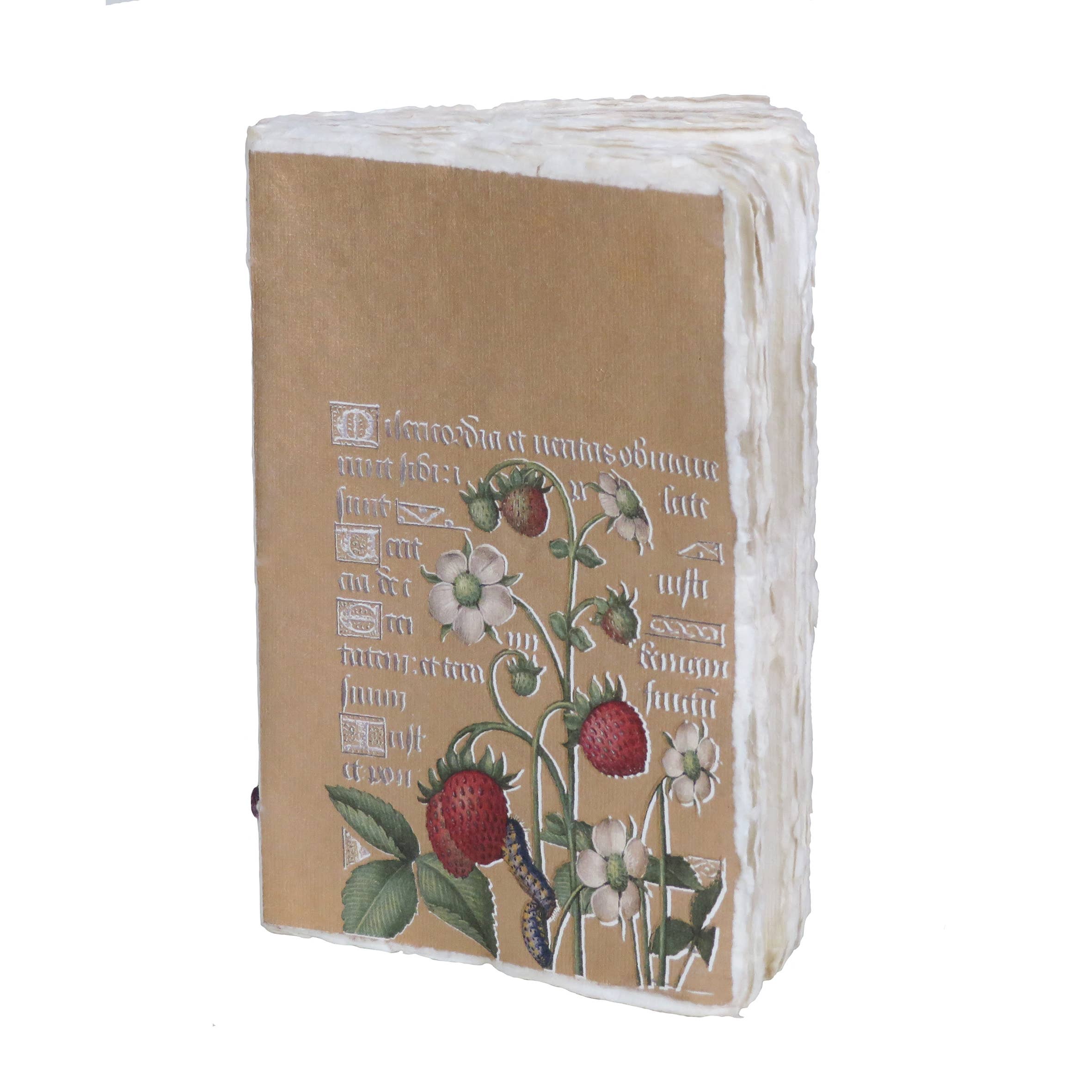 Carnet papier parchemin  :  enluminure dorée