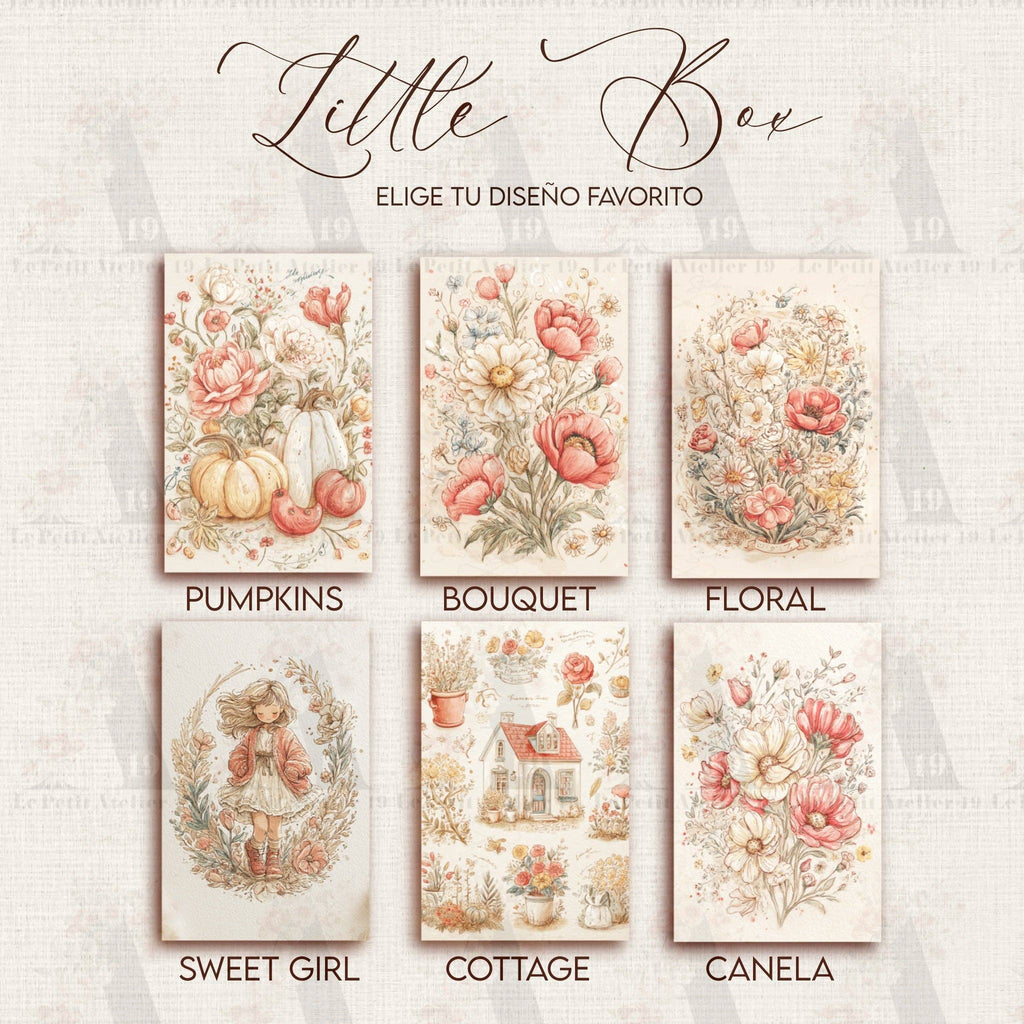 LATITAS · Petite boîte