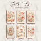 LATITAS · Petite boîte