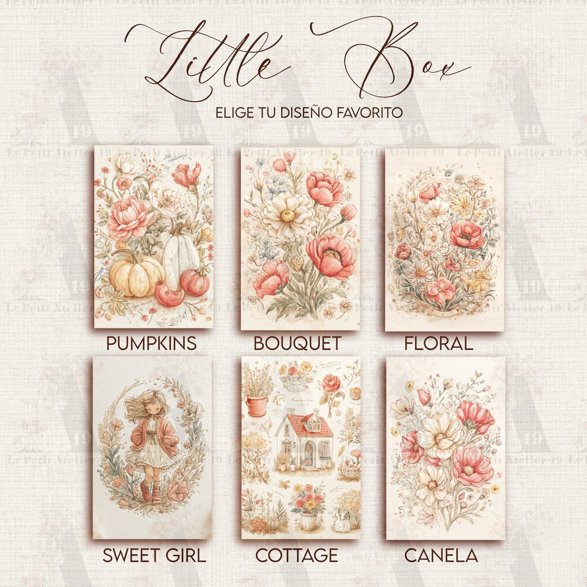 LATITAS · Petite boîte