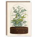 Terrarium