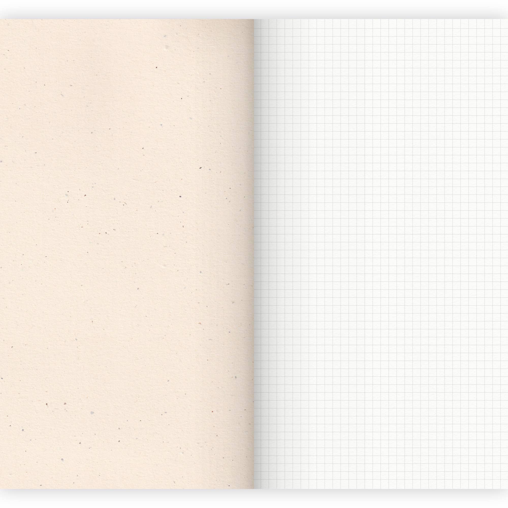 Carnet A4 | Ornements 1