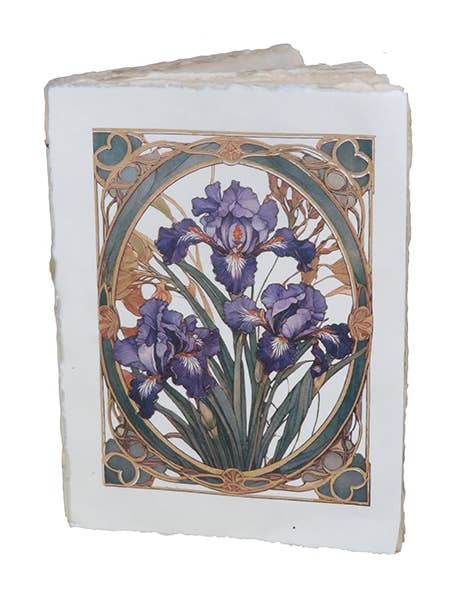 Carnet parchemin – Fleurs Art Nouveau dorées