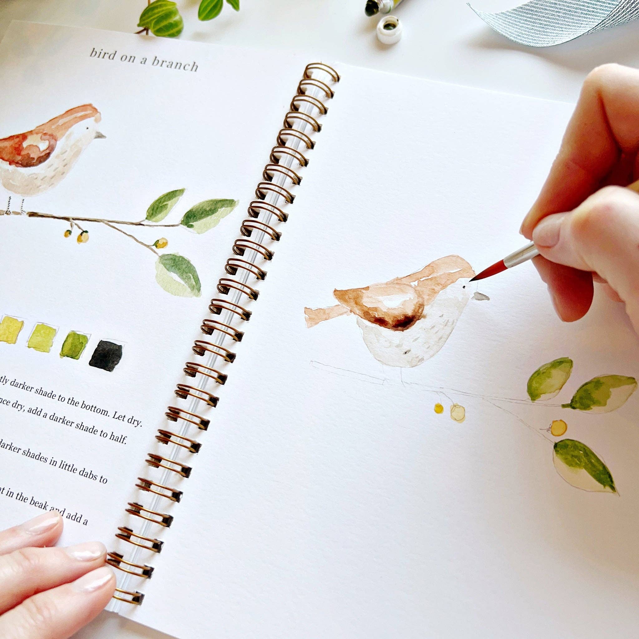 Cahier d'aquarelle sur les animaux