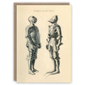 Chevaliers