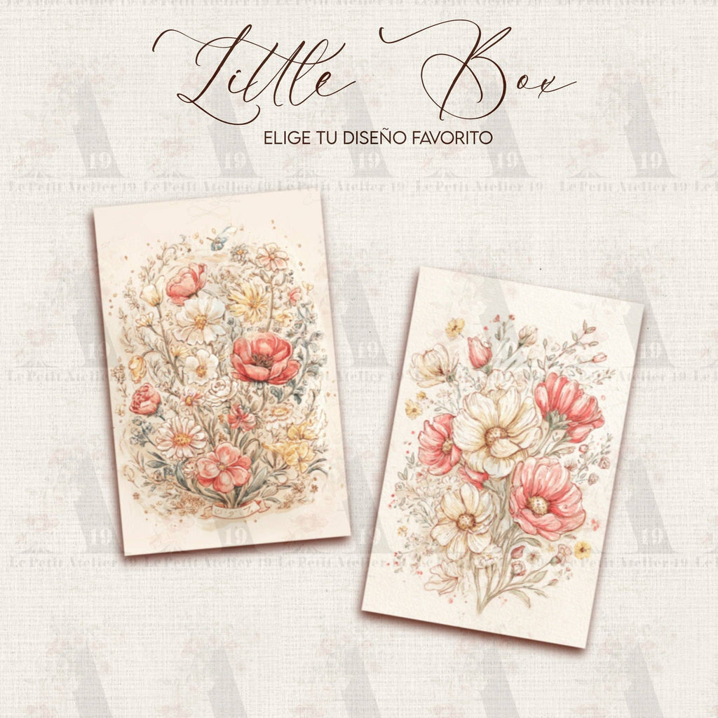 LATITAS · Petite boîte