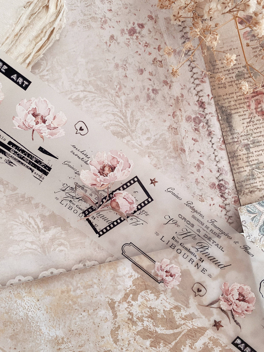 Ruban décoratif – Pivoines roses