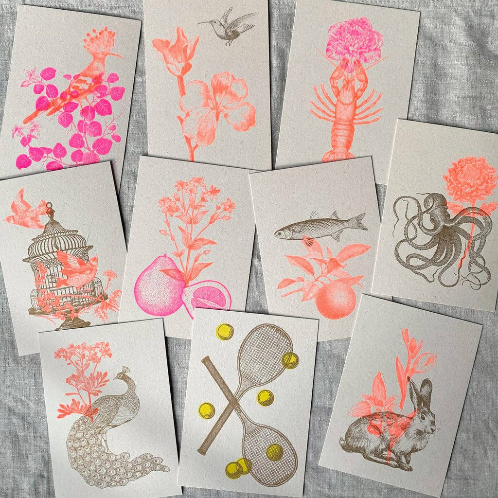 Carte postale Paon avec fleur