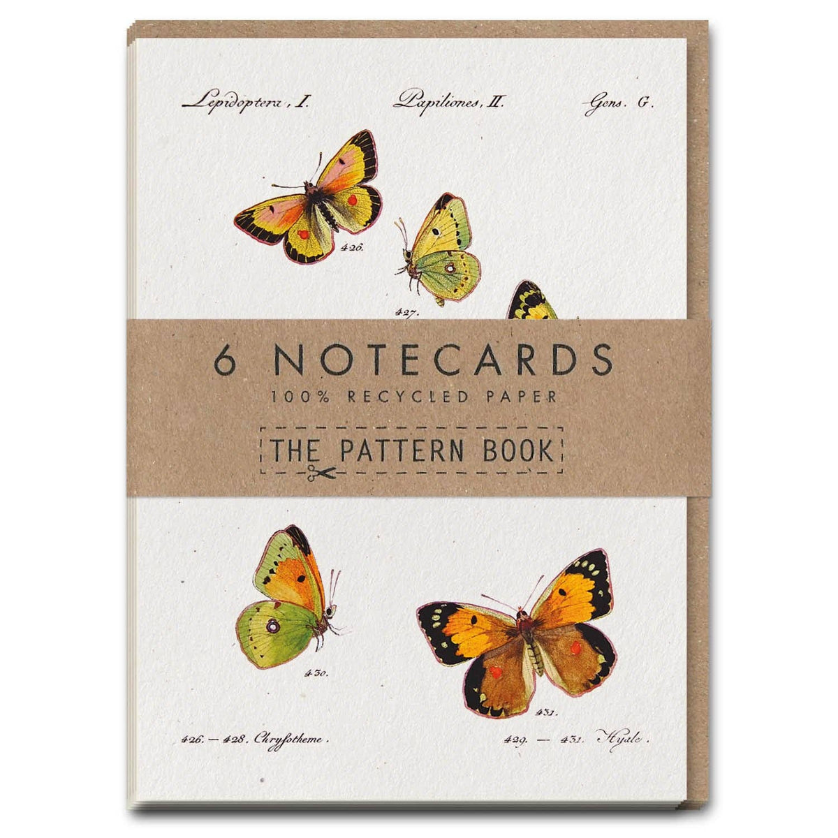 Cartes de correspondance Papillons Hübner