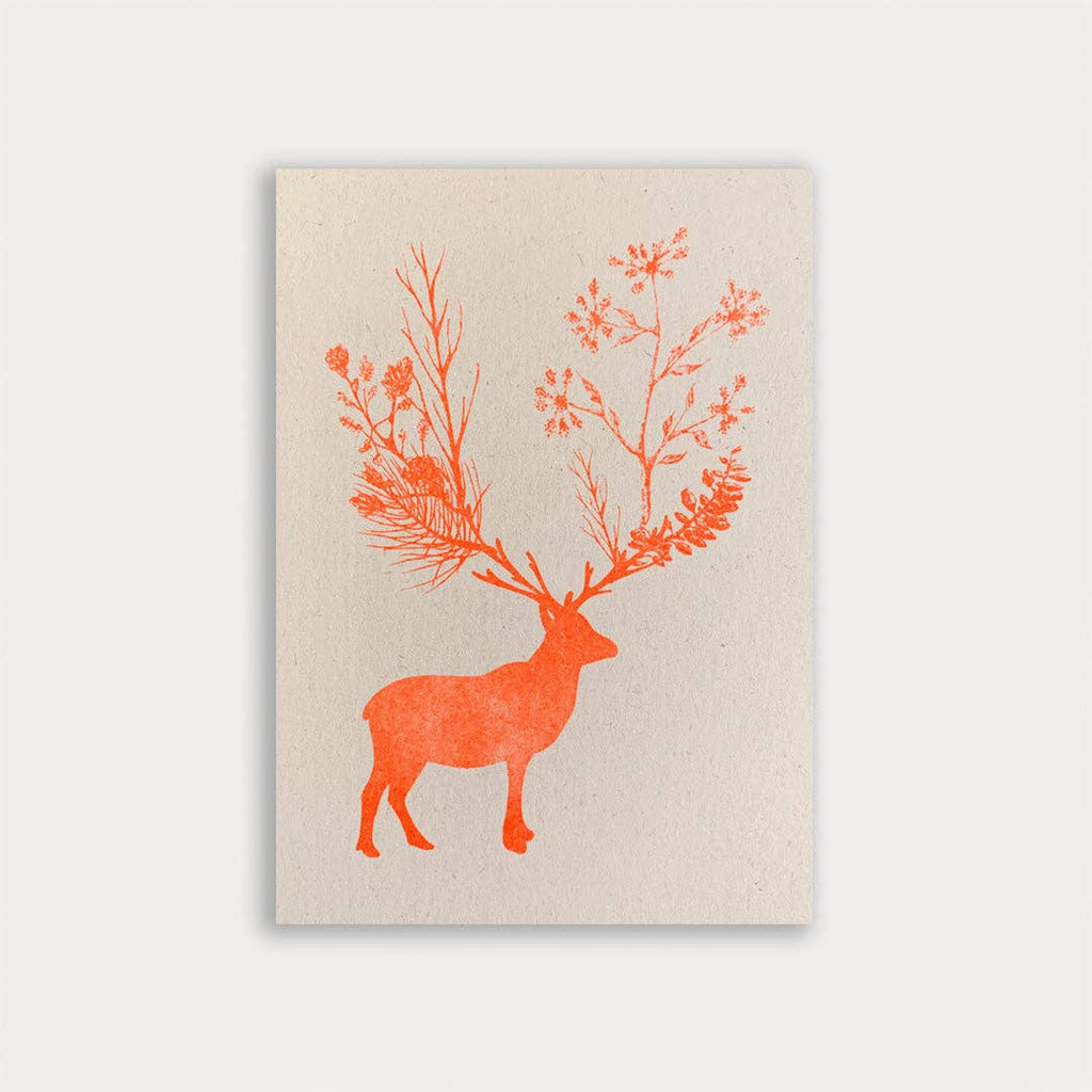 Carte postale / Cerf / Papier écologique