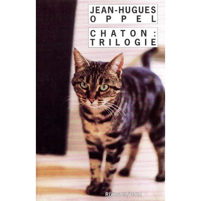 Chaton : trilogie