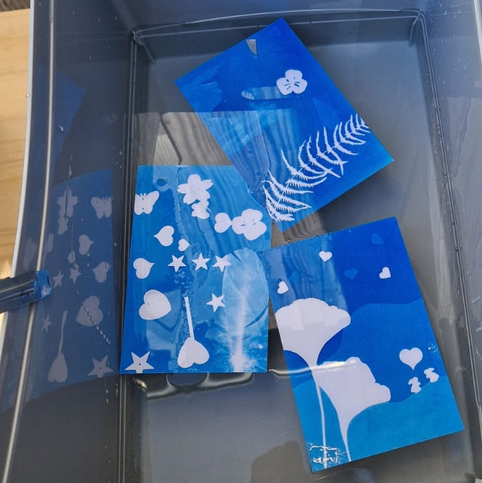 CYANOTYPE