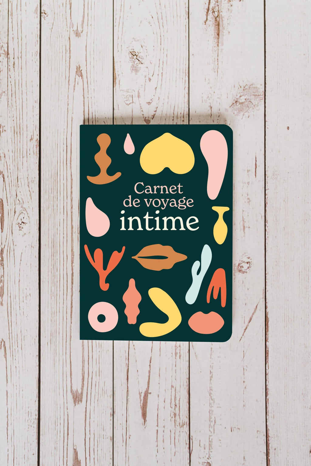 Carnet de voyage intime