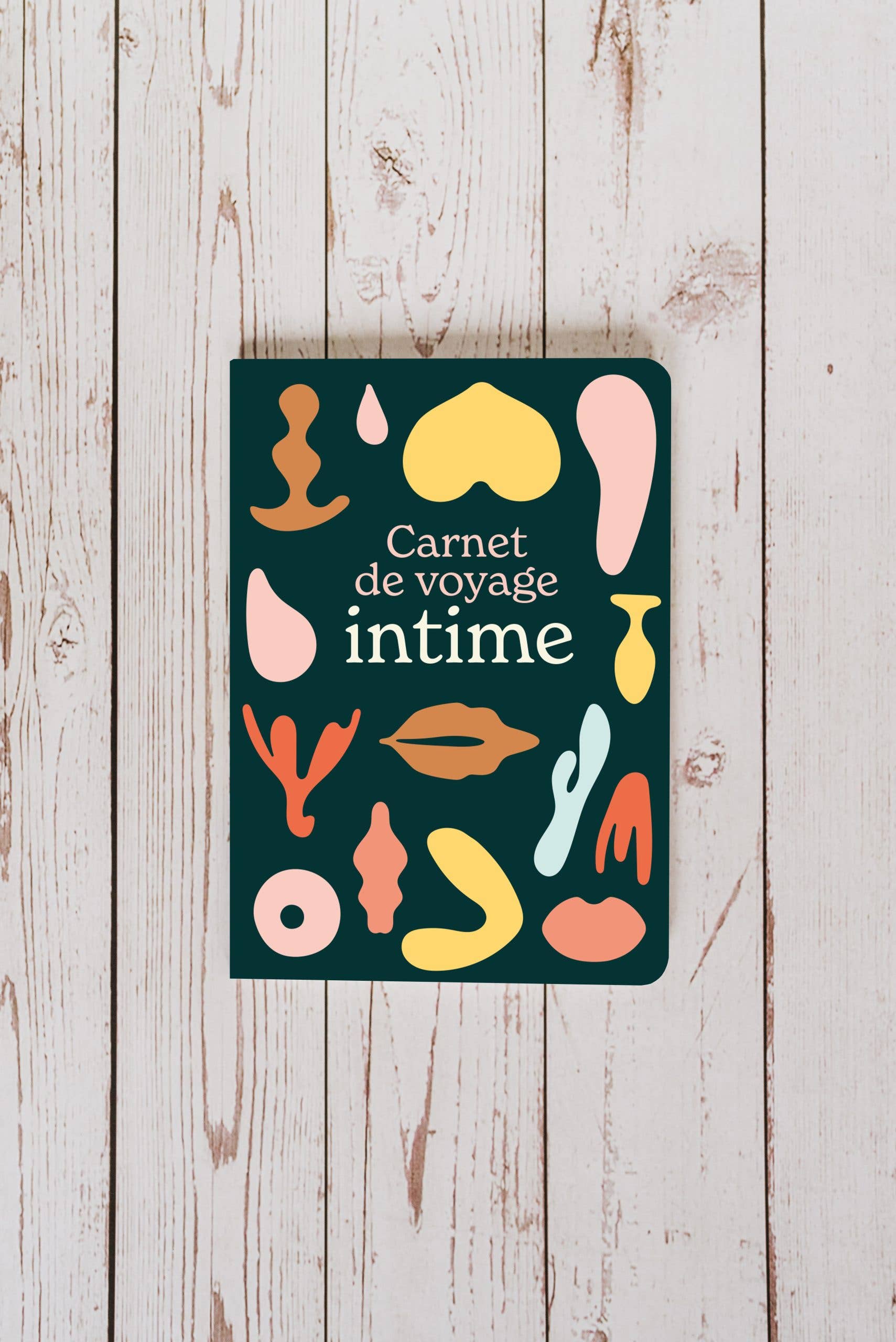 Carnet de voyage intime