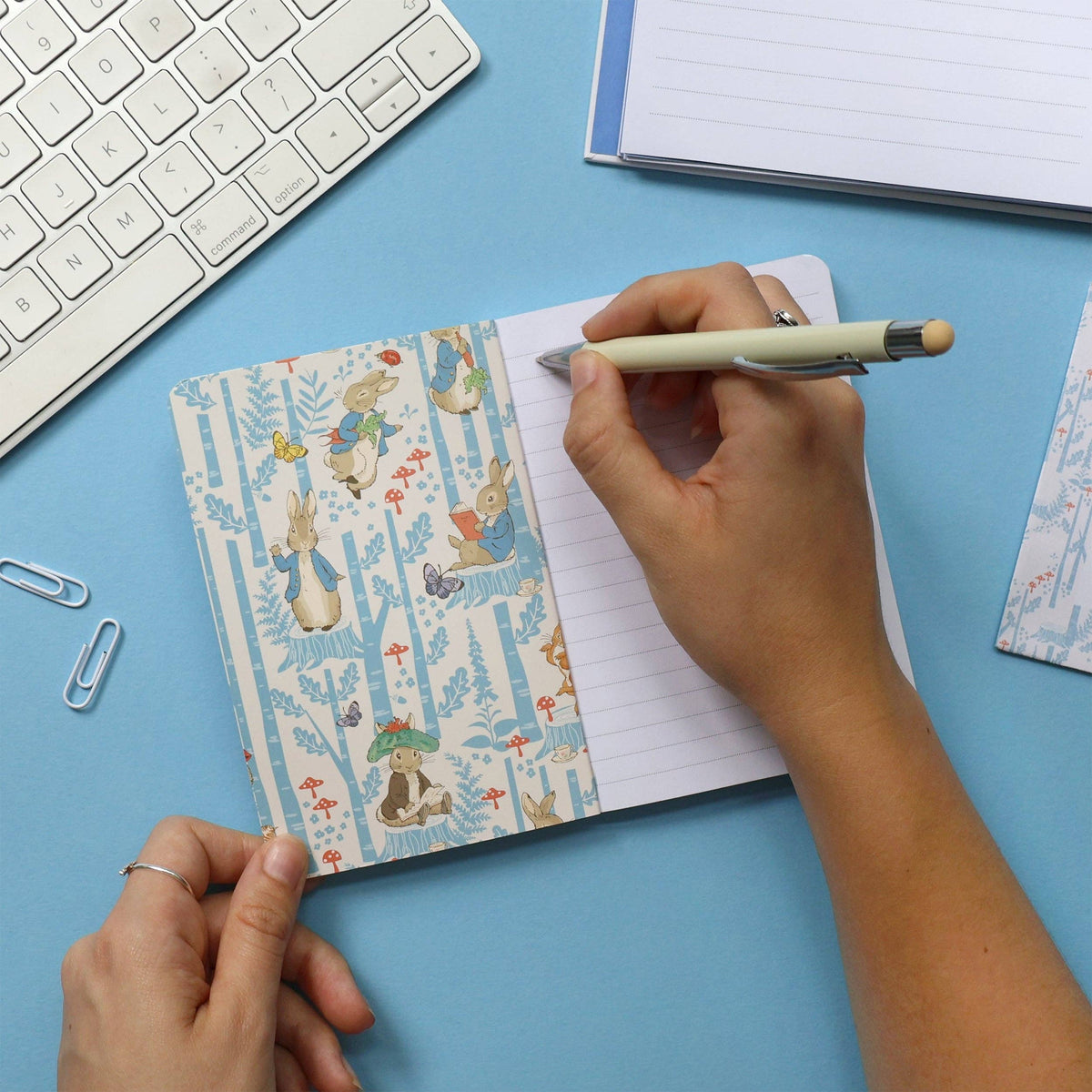 Carnet Peter Rabbit — Motif de pique-nique en forêt A6