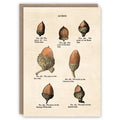 Carte de voeux Acorns