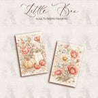 LATITAS · Petite boîte