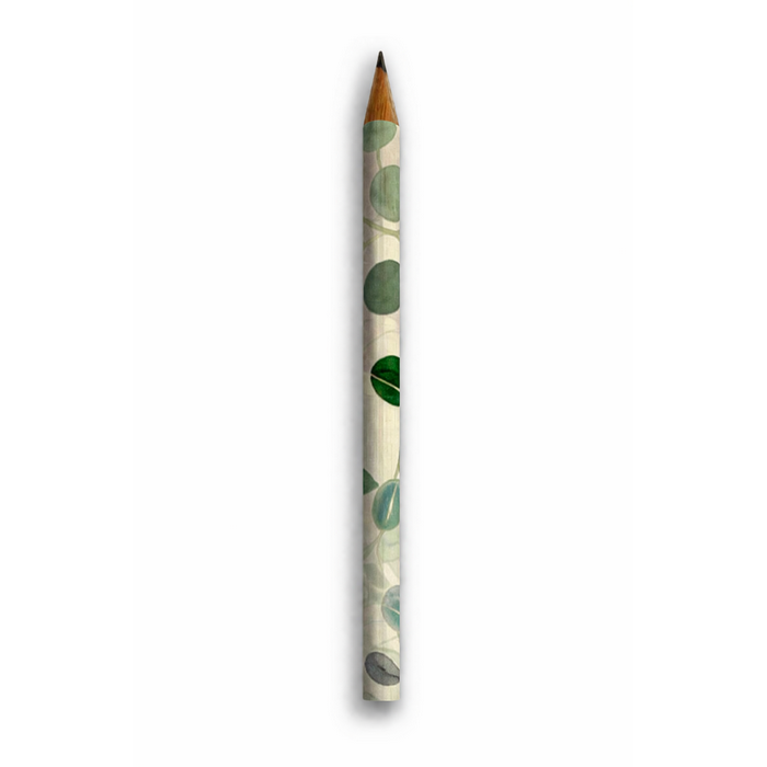 Crayons décorés