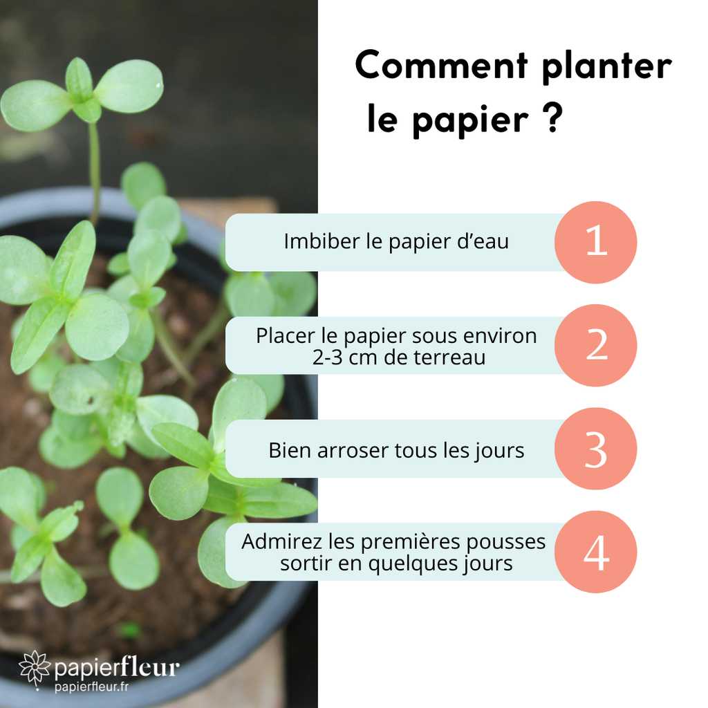 Carte à planter - Maman