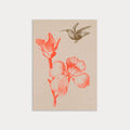 Carte  Colibri avec fleur