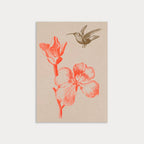 Carte  Colibri avec fleur