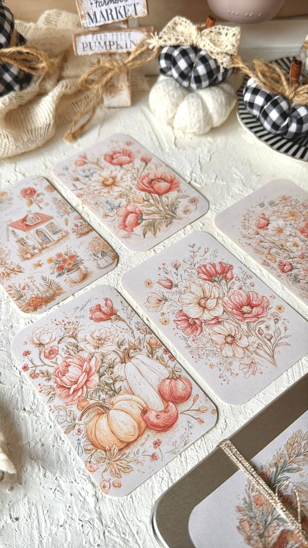 LATITAS · Petite boîte