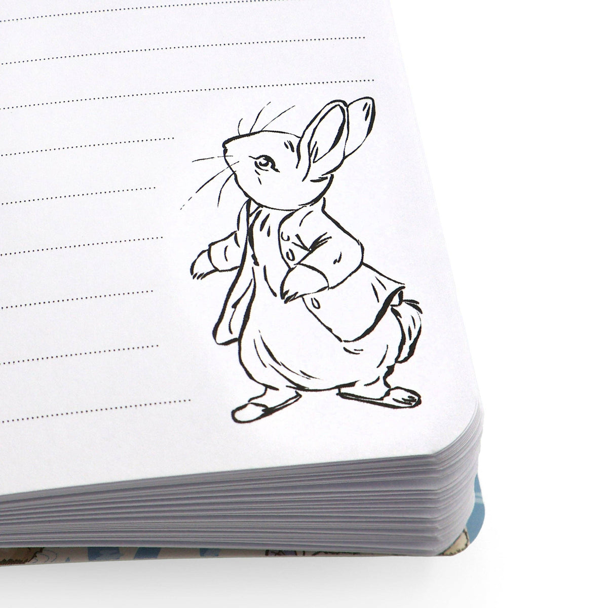 Carnet Peter Rabbit — Motif de pique-nique en forêt A6