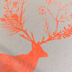 Carte postale / Cerf / Papier écologique