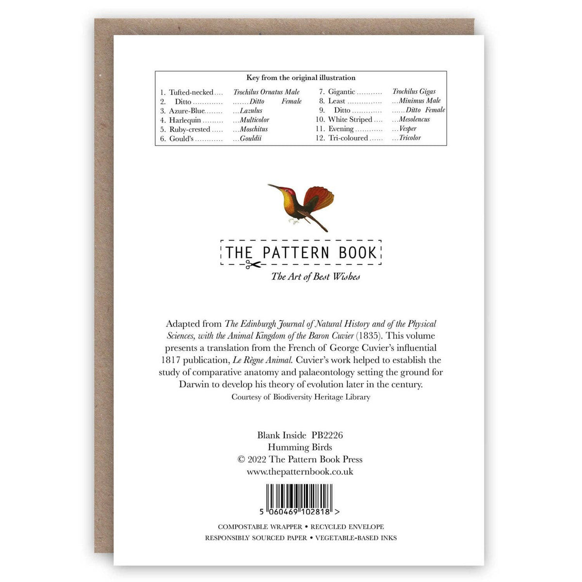 Oiseaux colibris