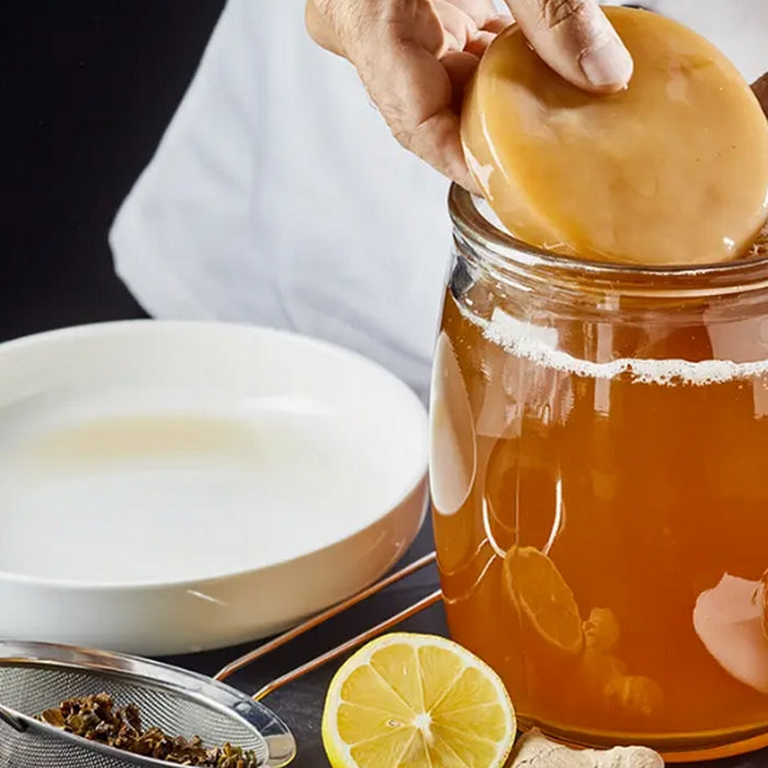 ATELIER KOMBUCHA