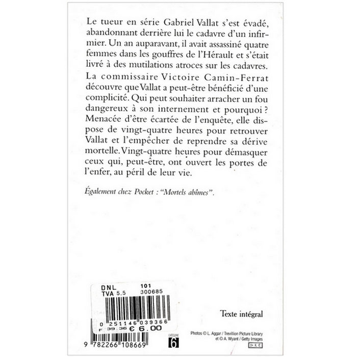 Le pavillon du mal